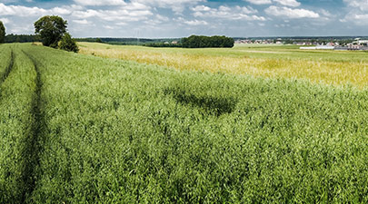 Photo du terrain n°2 à Tracy-Le-Val